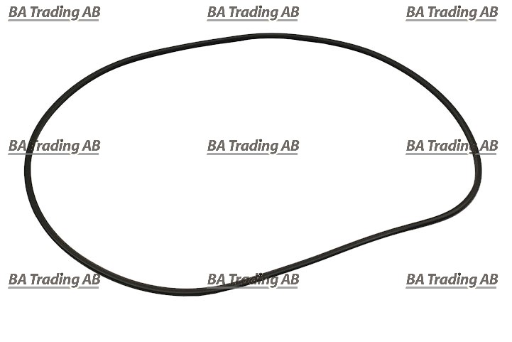 TÄTNINGSRING