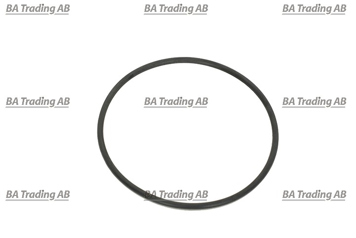 O-RING