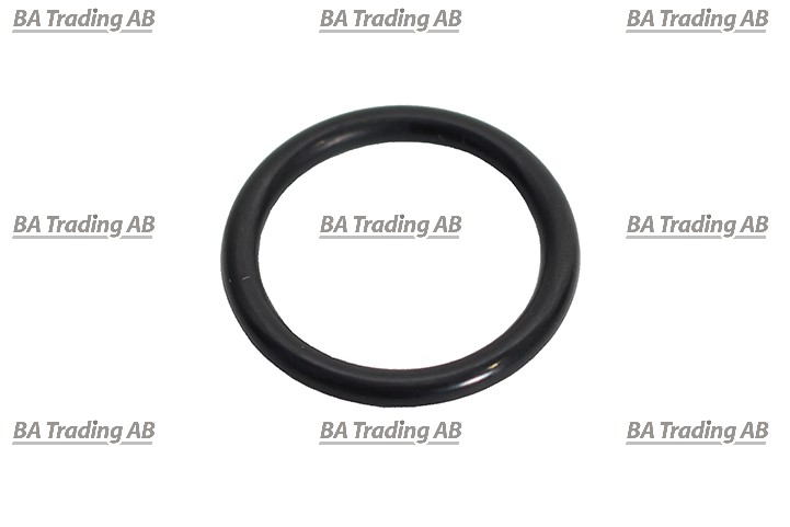O-RING