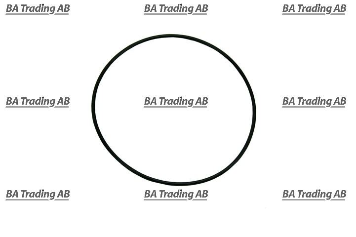 O-RING