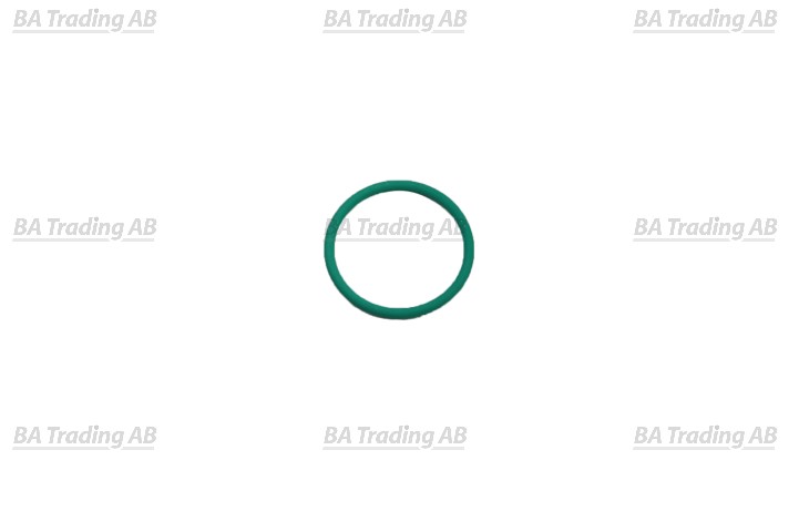 O-RING