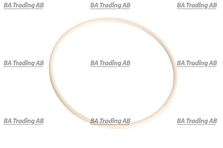 O-RING