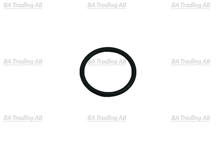 O-RING
