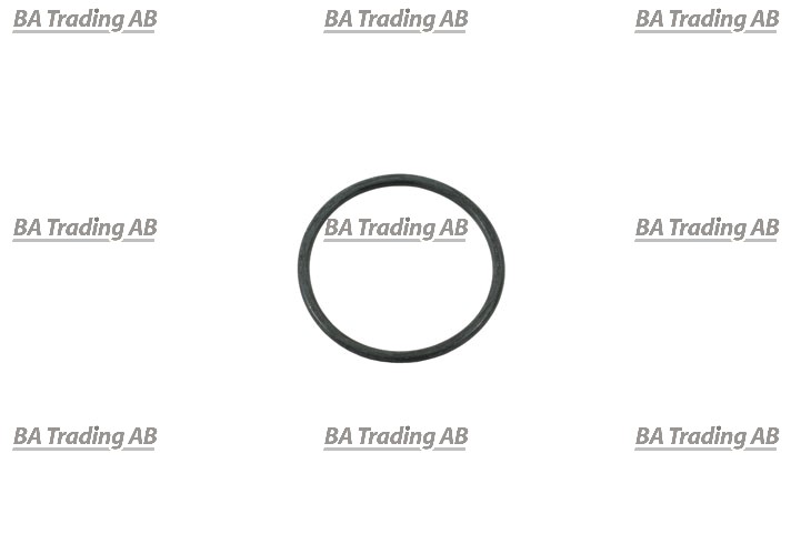 O-RING