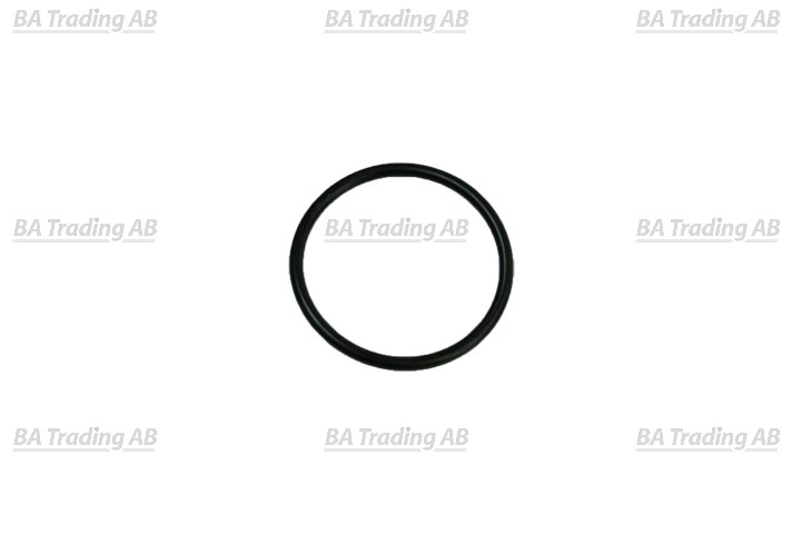 O-RING