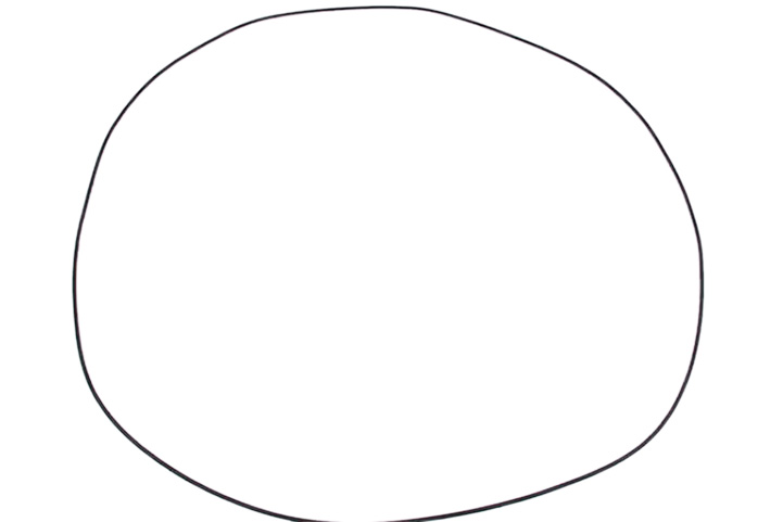 O-RING