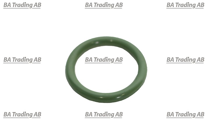O-RING