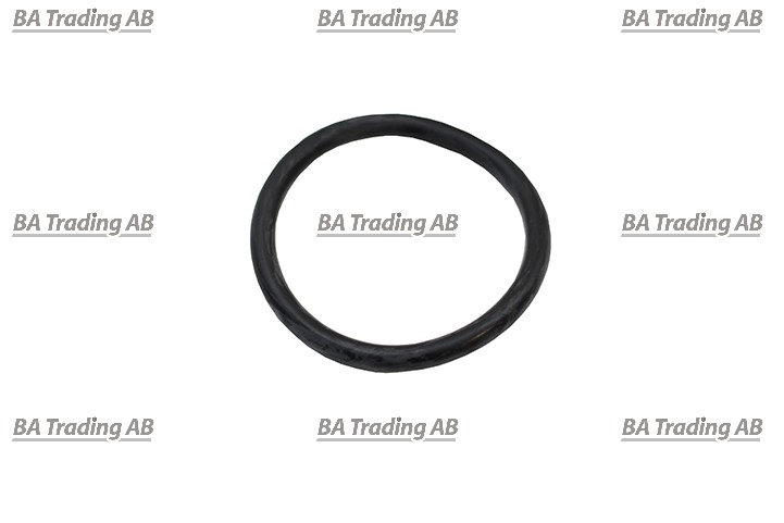 O-RING