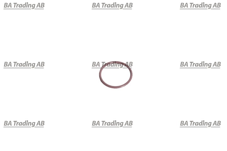 O-RING