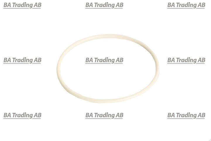 O-RING