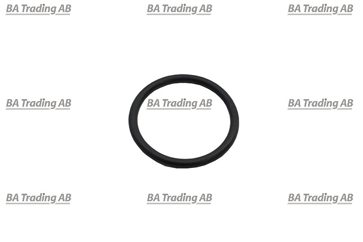 O-RING
