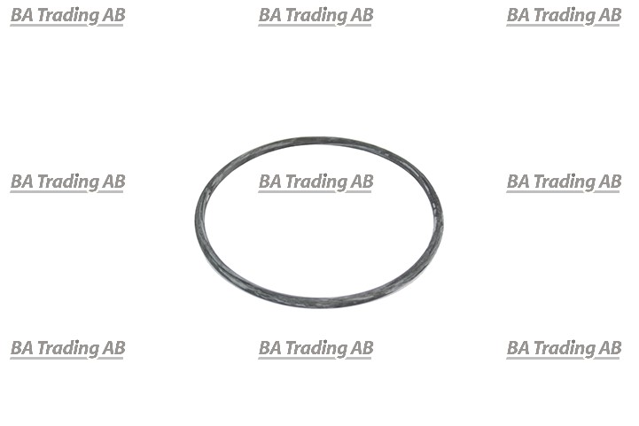 O-RING