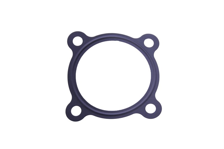 GASKET THROTTLE