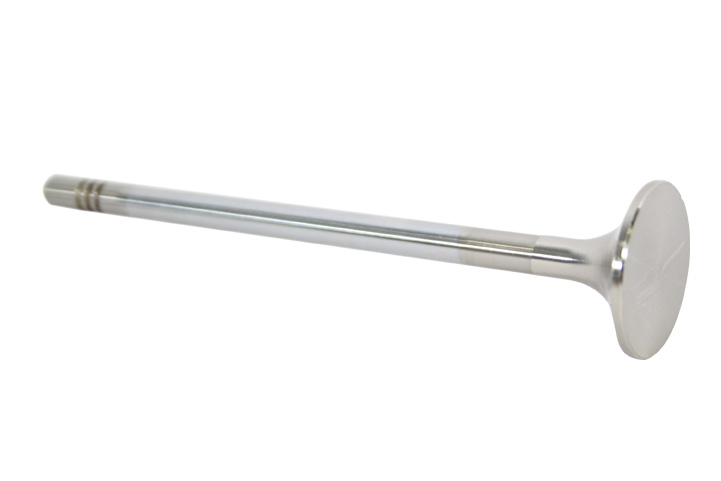 EXHAUST VALVE