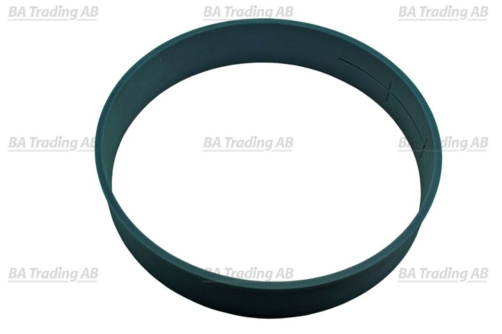 BEARING RACE