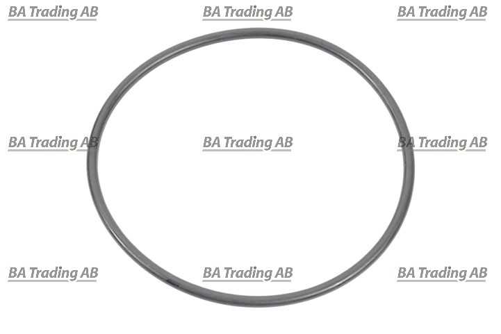 O-RING