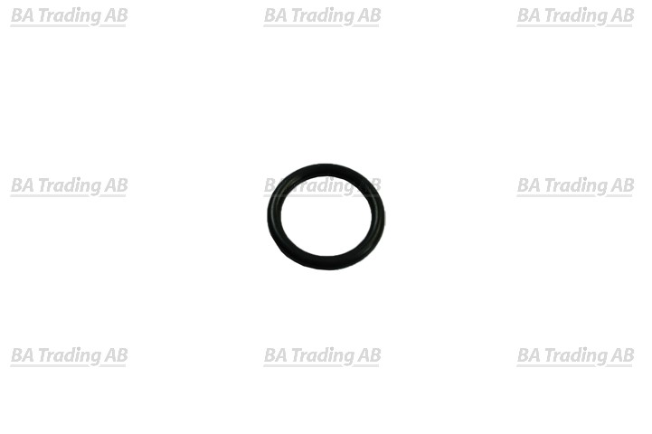 O-RING