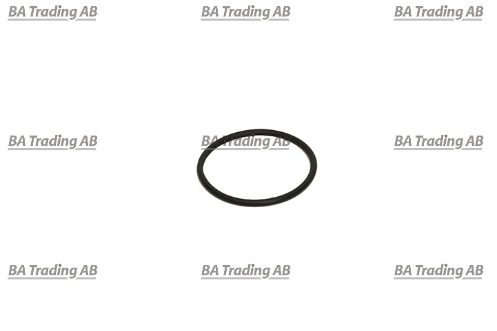 O-RING
