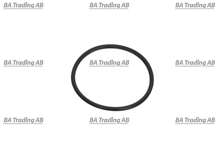O-RING