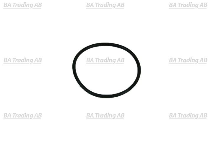 O-RING