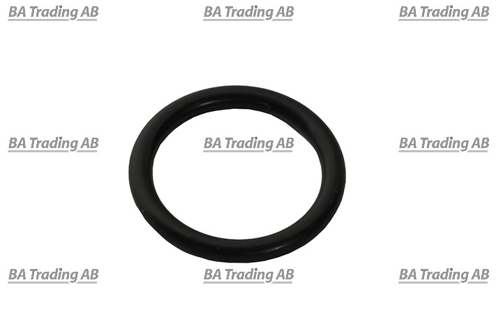 O-RING
