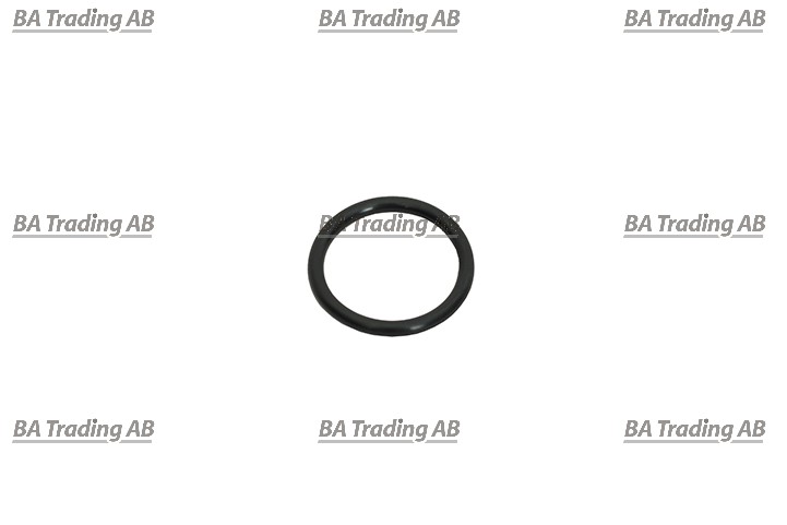O-RING