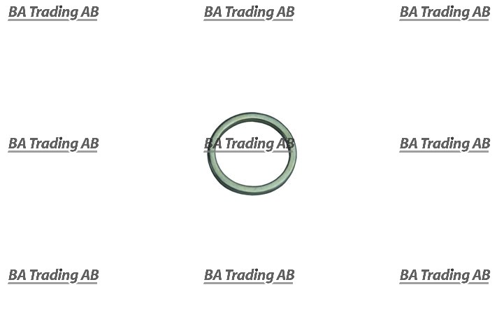 BACK-UP RING