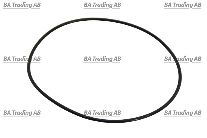 O-RING