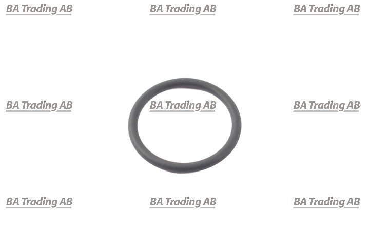 O-RING