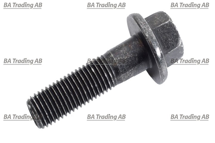 FLANGE SCREW