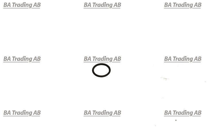 O-RING