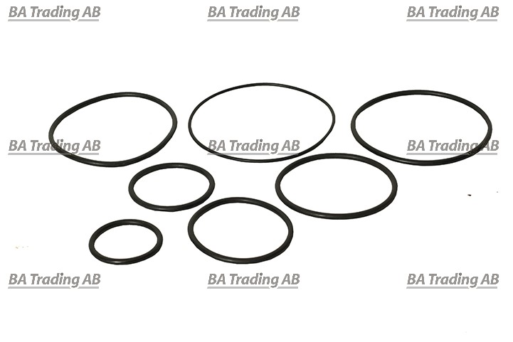 TÄTNINGSSATS, O-RINGAR TIPPCYLINDER